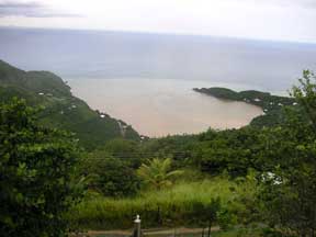 Nice View